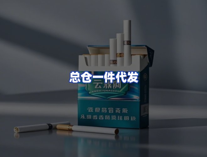专业团队